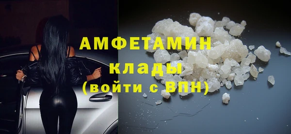прущие грибы Абинск