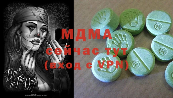 прущие грибы Абинск