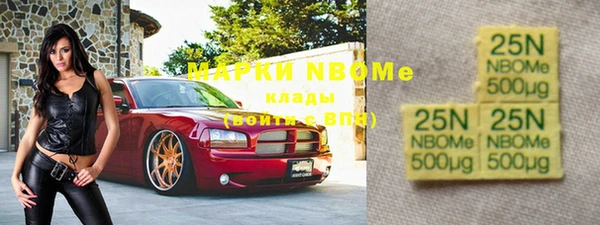 прущие грибы Абинск