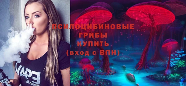 прущие грибы Абинск