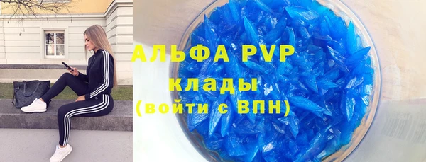 прущие грибы Абинск