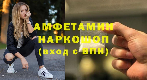 прущие грибы Абинск